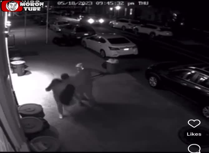 Video :Wanted after randomly assaulting nine individuals